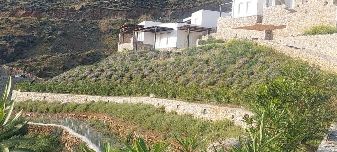 Petradi Studios & Villa Aegiali Extérieur photo